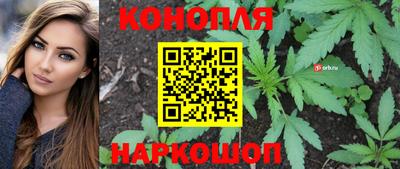шишки Гудермес